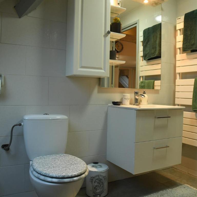 DUPLEX SPACIEUX TOUT CONFORT - Appartement 1 Chambre - 5