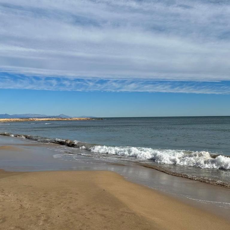 Sol de mar, La Mata (Hiszpania) - Apartamento de 2 dormitorios - 45