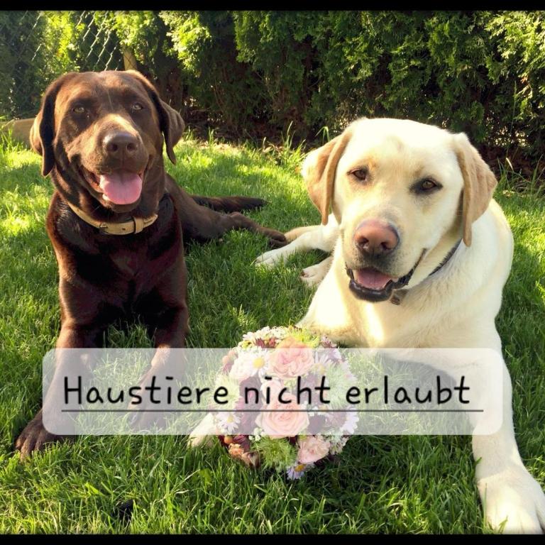 Apartment Zettler - Apartment mit 1 Schlafzimmer - 21