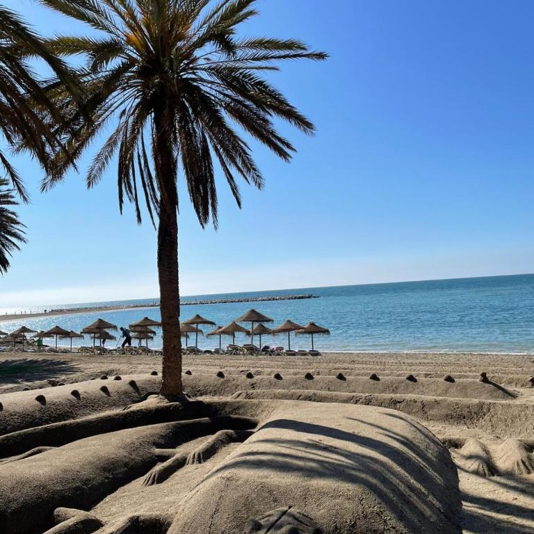Sol de mar, La Mata (Hiszpania) - Apartamento de 2 dormitorios - 54