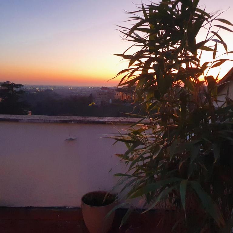 Appartamento "La Terrazza di Giacinta" - Penthouse - 4