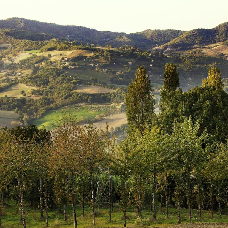 Agriturismo La Castellana - Appartamento Monolocale - 32
