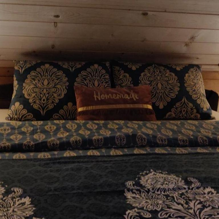 Lodge House Tara - Brvnara sa 3 Spavaće Sobe - 32