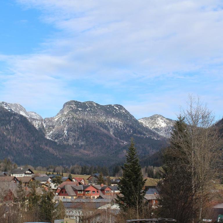 Tauplitz Apartment - Apartment mit 1 Schlafzimmer - 17