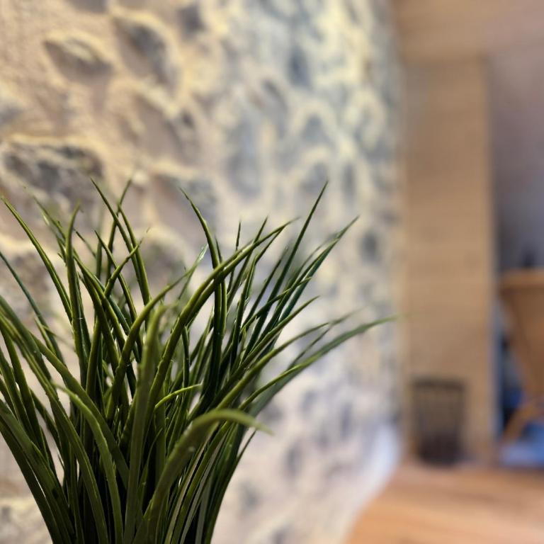 [Le LODGE] - Appartement 3 Chambres - 5