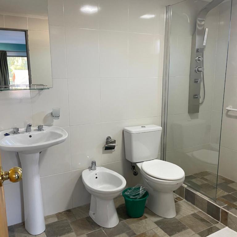 Hotel Los Antiguos - Habitación Superior con cama extragrande - 8