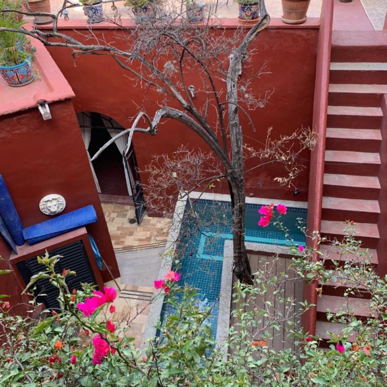 Antigua Casa del Limon - Two-Bedroom House - 2