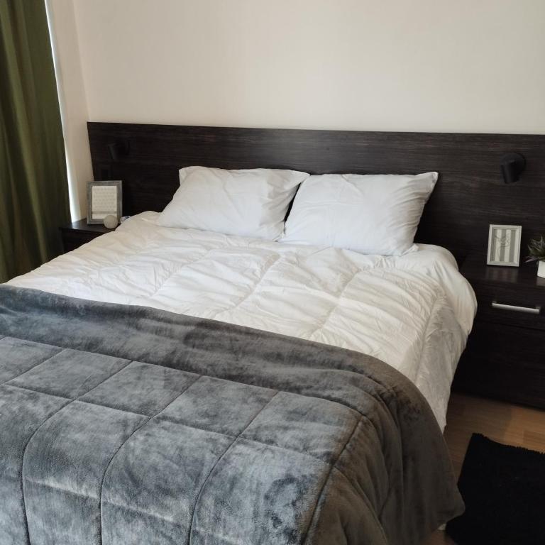 Puerto Paraná VIII - Apartamento de 1 dormitorio - 12