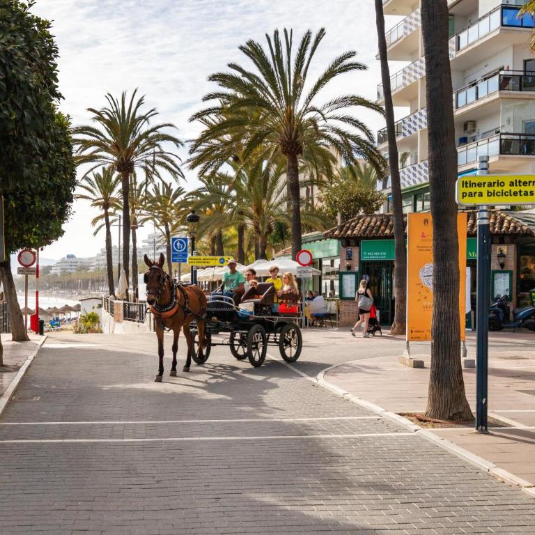 El Dorado 3 dormitorios cerca Puerto Banus - Three-Bedroom Apartment - 75