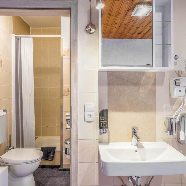 Pension Bayerwald mit Ferienwohnung - Chambre Double ou Lits Jumeaux avec Vue - 3