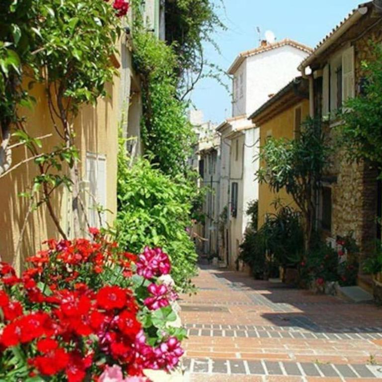 Appartement dans la villa "La Méridiane" - Appartement - Vue sur Jardin - 75