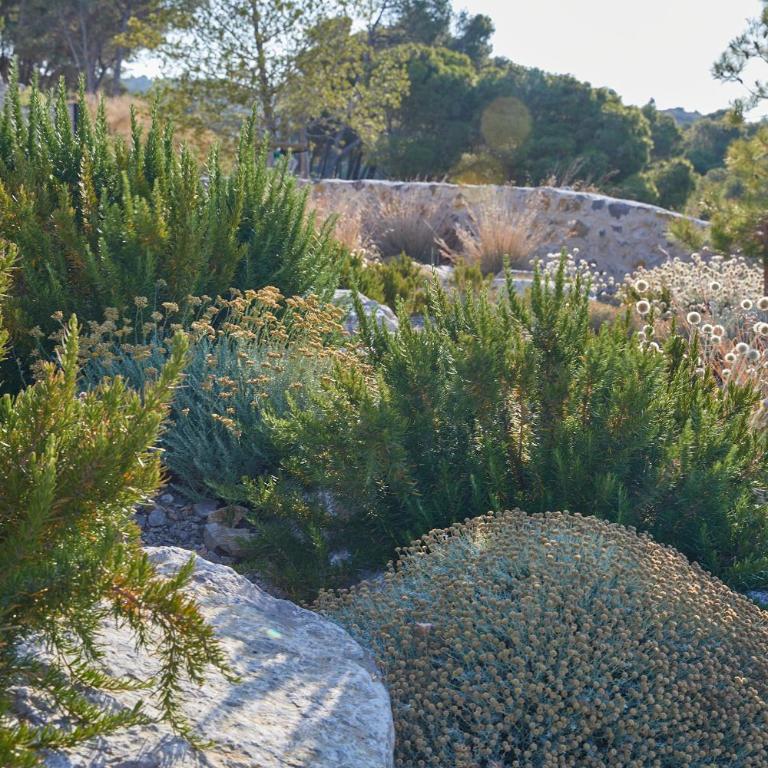 Château Capitoul - Villa con piscina privada - 2