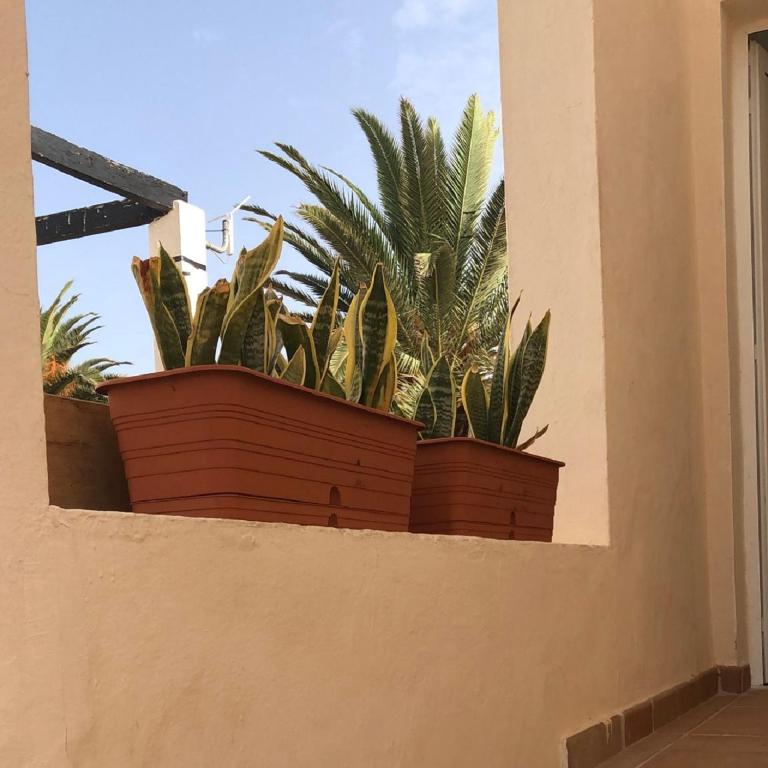 Casa Feliz Corralejo Beach - One-Bedroom Apartment - 35