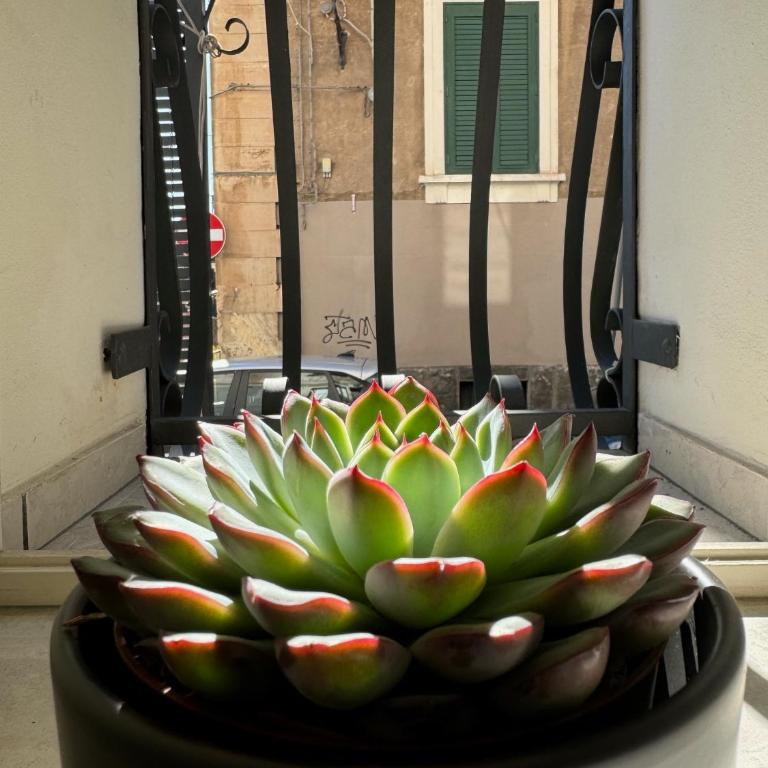 Casa Terme della Rotonda - One-Bedroom House - 24