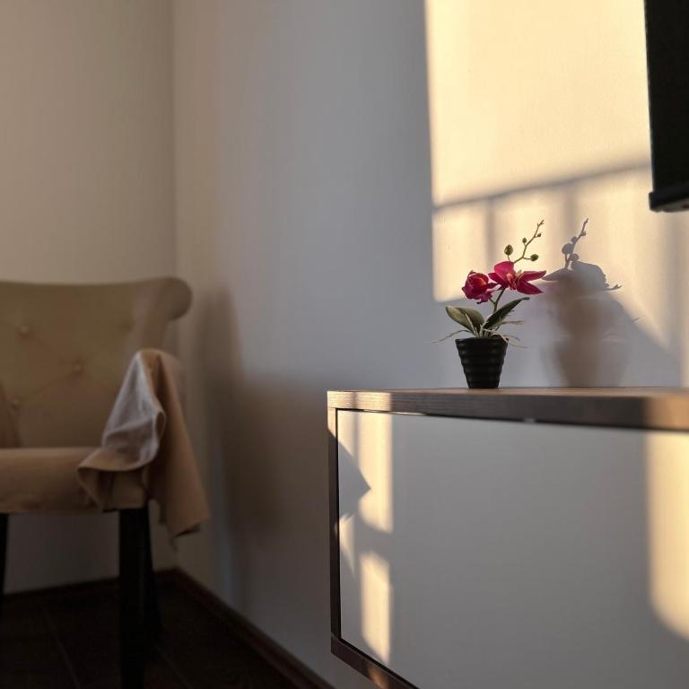 Vila Drina Apartments - Premium Apartman sa 1 Spavaćom Sobom - 4