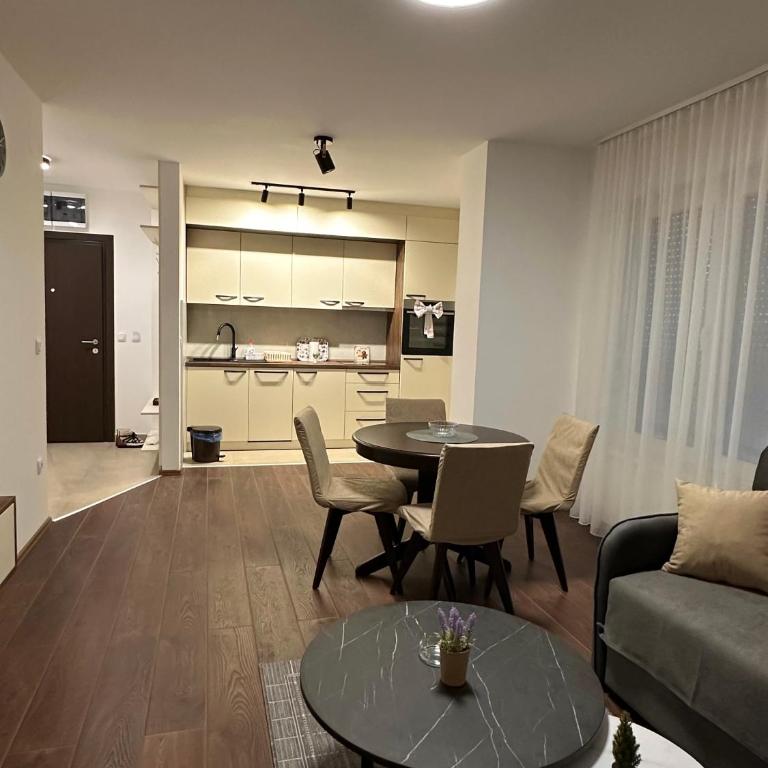 Vila Drina Apartments - Premium Apartman sa 1 Spavaćom Sobom - 5