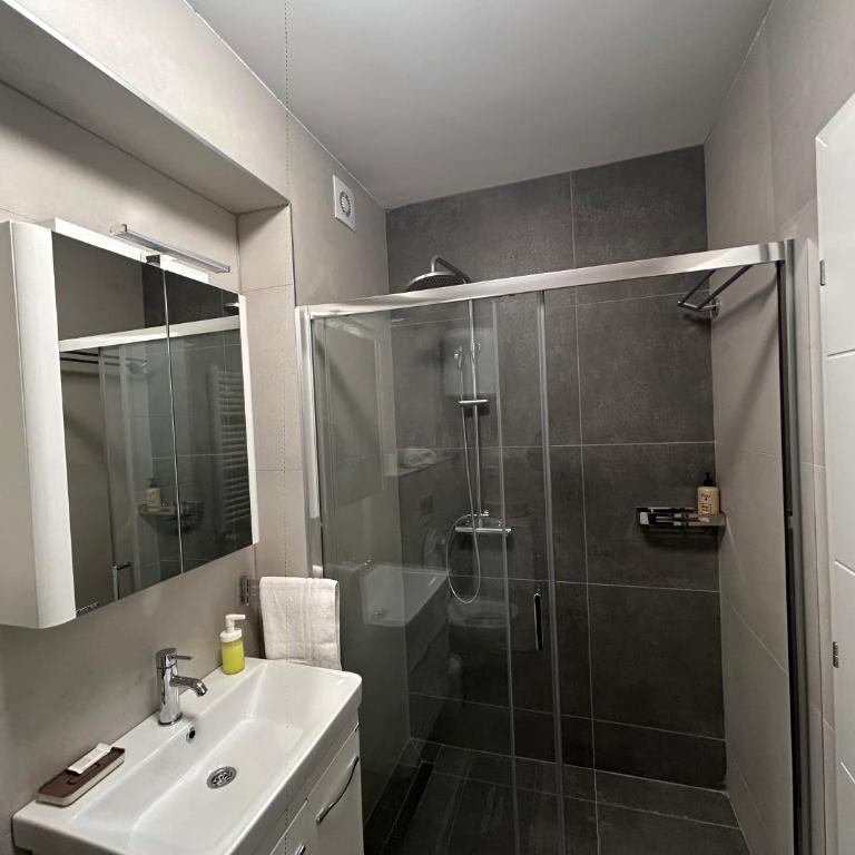Vila Drina Apartments - Premium Apartman sa 1 Spavaćom Sobom - 10