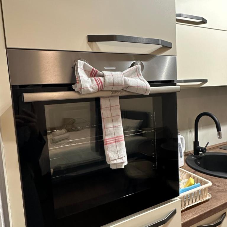 Vila Drina Apartments - Premium Apartman sa 1 Spavaćom Sobom - 9