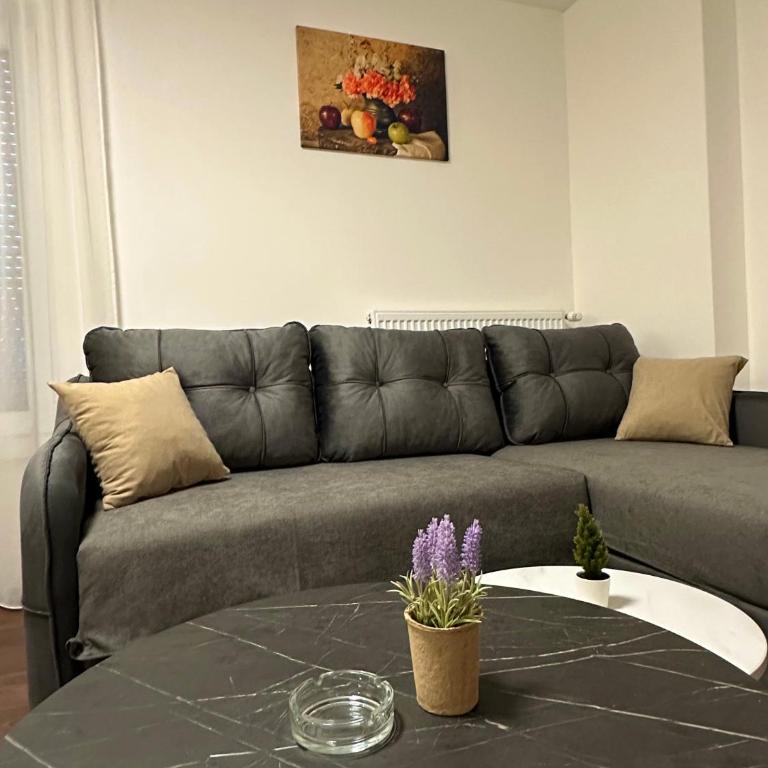 Vila Drina Apartments - Premium Apartman sa 1 Spavaćom Sobom - 7