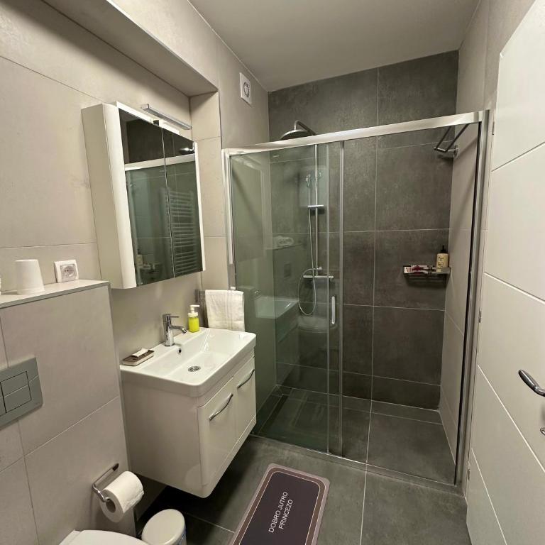 Vila Drina Apartments - Premium Apartman sa 1 Spavaćom Sobom - 14