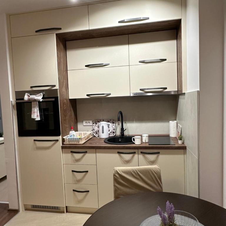 Vila Drina Apartments - Deluks Studio sa Bračnim Krevetom (King-size) - 11