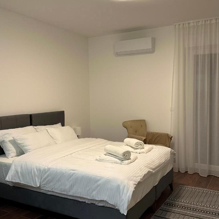 Vila Drina Apartments - Deluks Studio sa Bračnim Krevetom (King-size) - 12