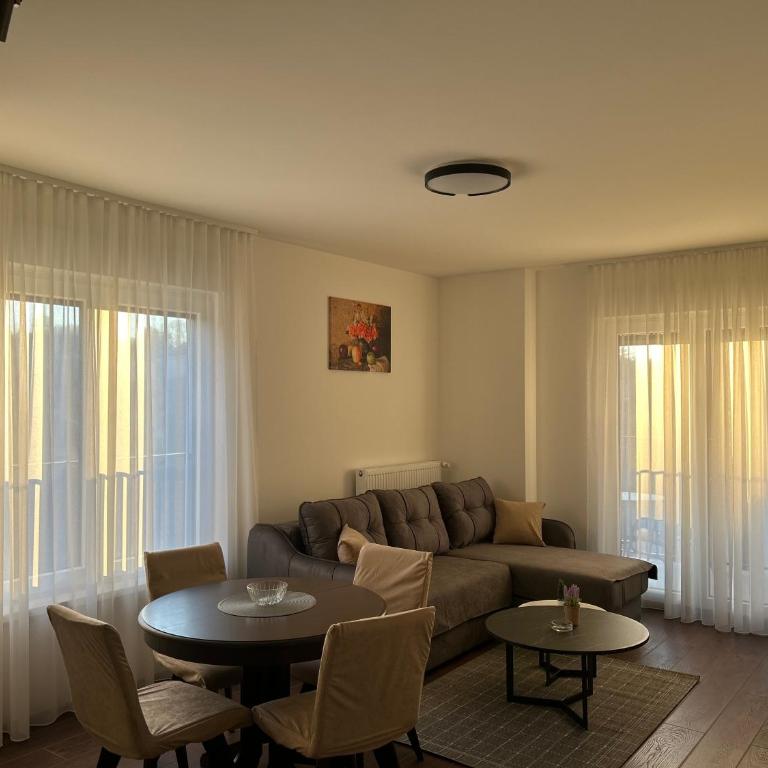 Vila Drina Apartments - Premium Apartman sa 1 Spavaćom Sobom - 19