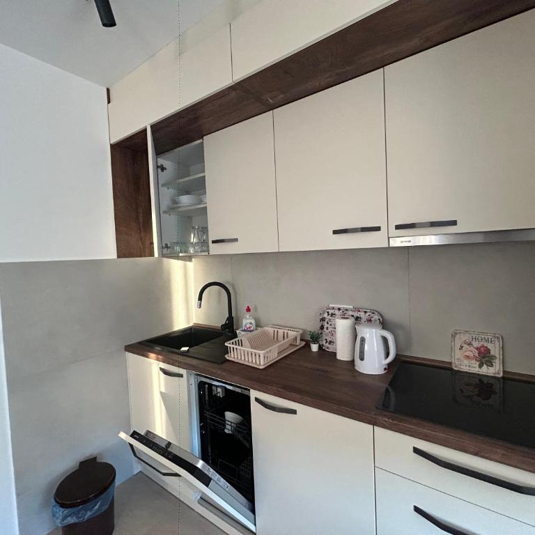 Vila Drina Apartments - Premium Apartman sa 1 Spavaćom Sobom - 24