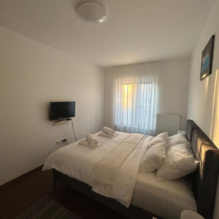 Vila Drina Apartments - Premium Apartman sa 1 Spavaćom Sobom - 23