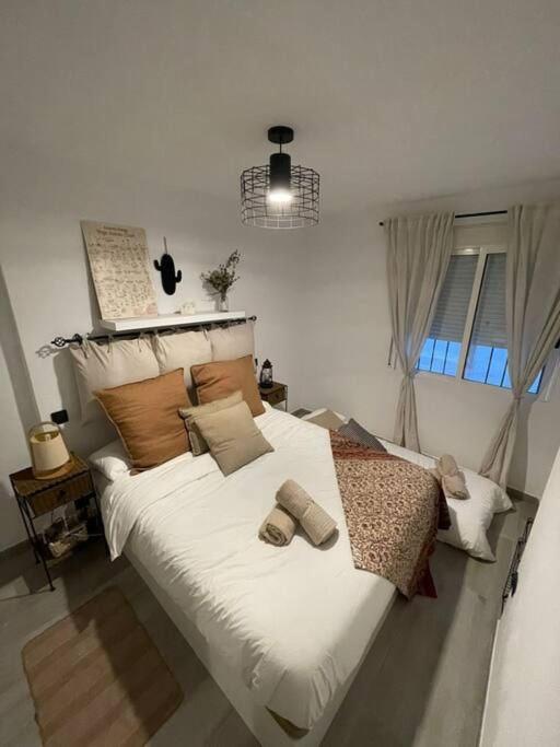Casa Pilarica | Casco Antiguo - One-Bedroom Apartment - 29