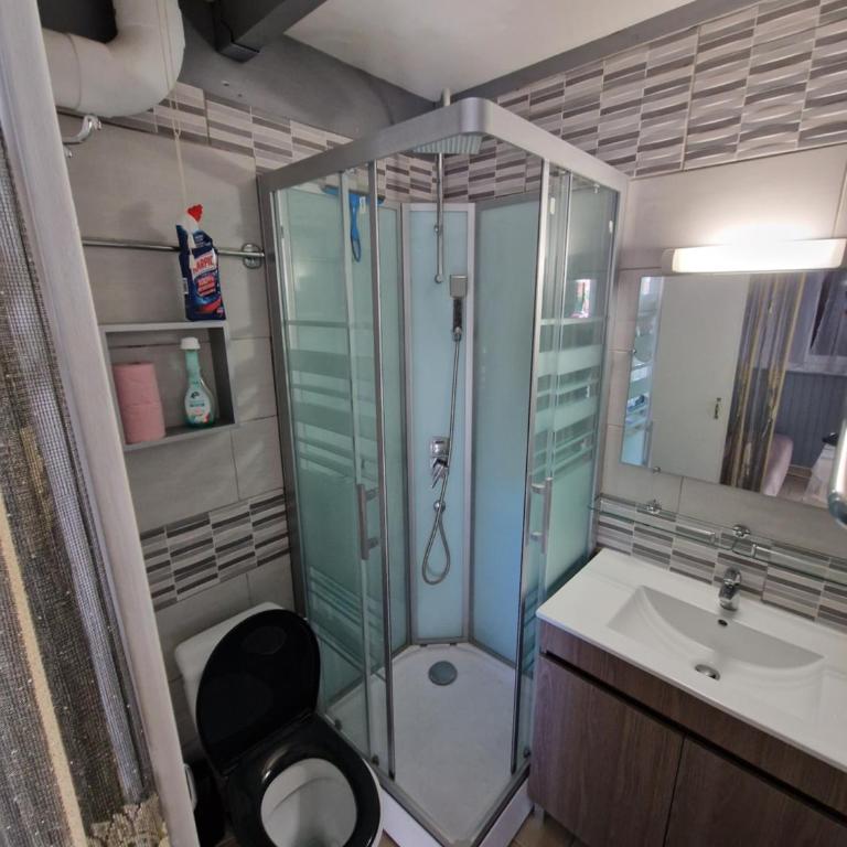 villa T2 cabine 500m de la plage - Two-Bedroom House - 3