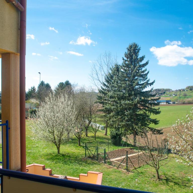 Hotel Gasthof Scheer - Chambre Deluxe - 4