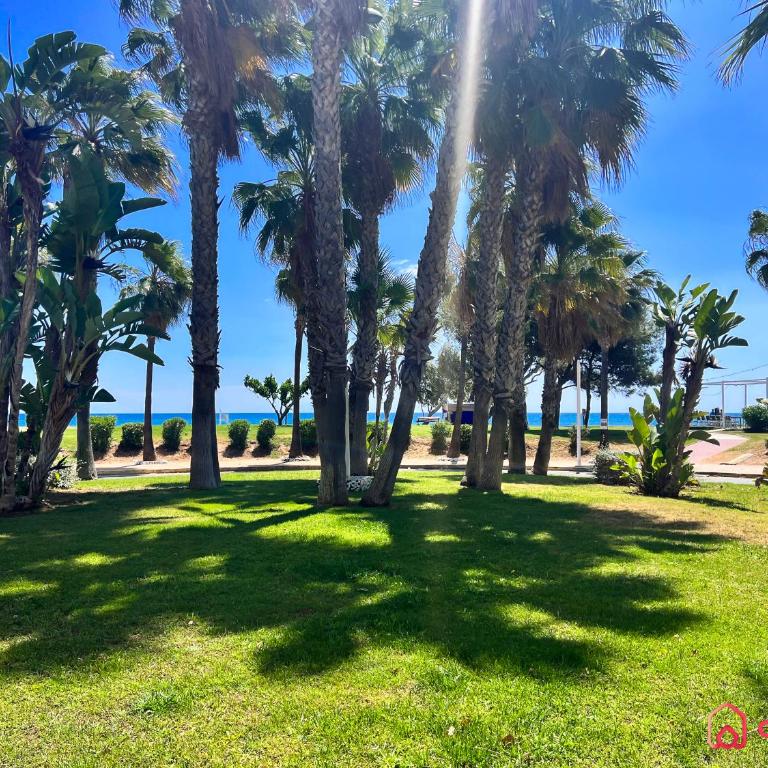 Amplio y Familiar bien ubicado - Apartamento de 3 dormitorios - 26