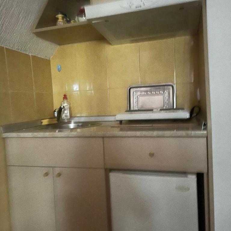 Vila Miris borova Zlatibor CENTAR - One-Bedroom Apartment - 4