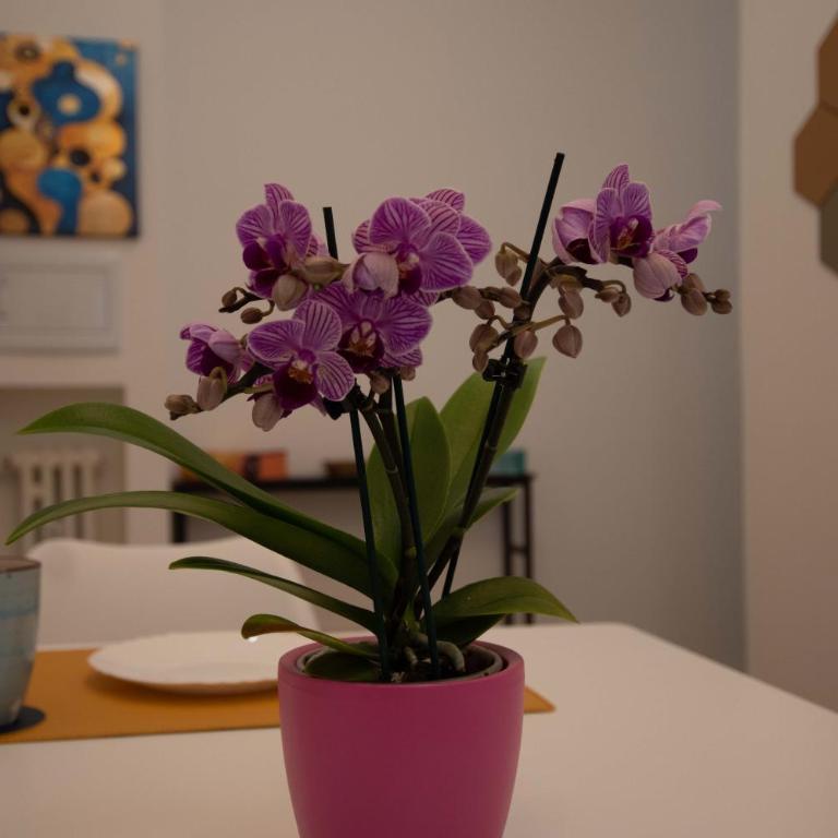 BDC - Euphoria 2BDR at Vatican - Two-Bedroom Apartment - 2