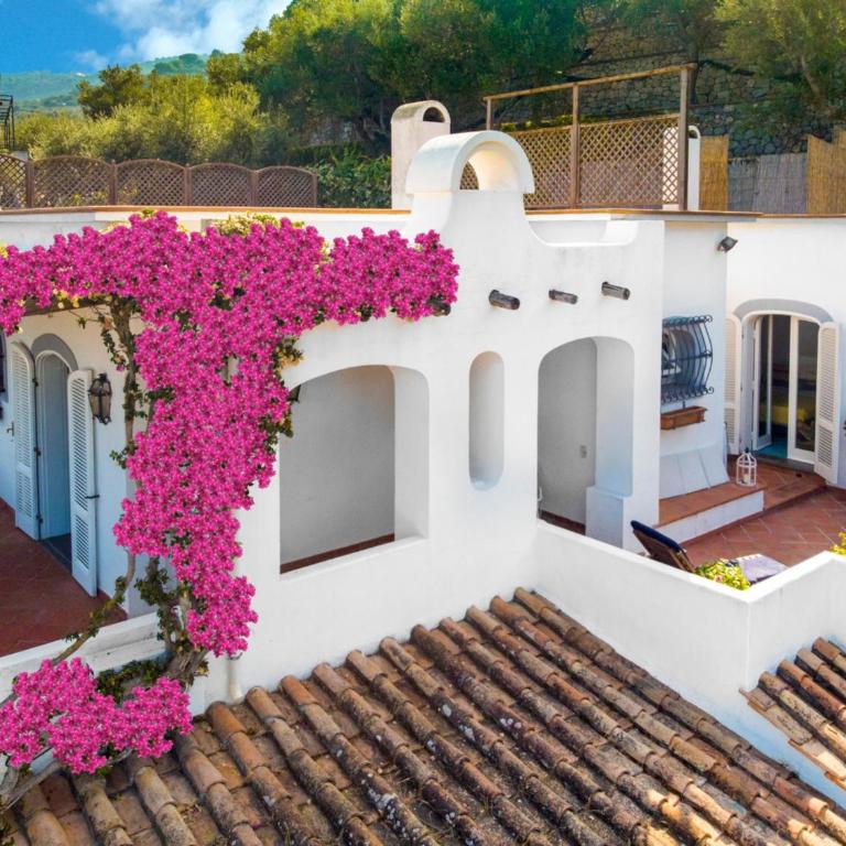 YourHome - Villa Mia - Villa con Piscina Privata - 51