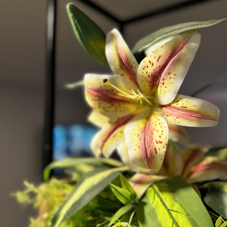 Loft between best business centers & restobars - One-Bedroom Apartment - 26