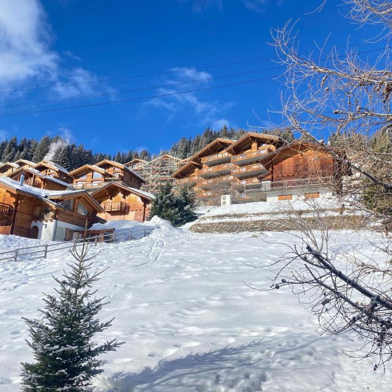 La Pourvoirie - 4 Vallées - Thyon-Les Collons, 10 pers, ski à 200 m, 4 parkings, vue fantastique ! - Superior Chalet - 33