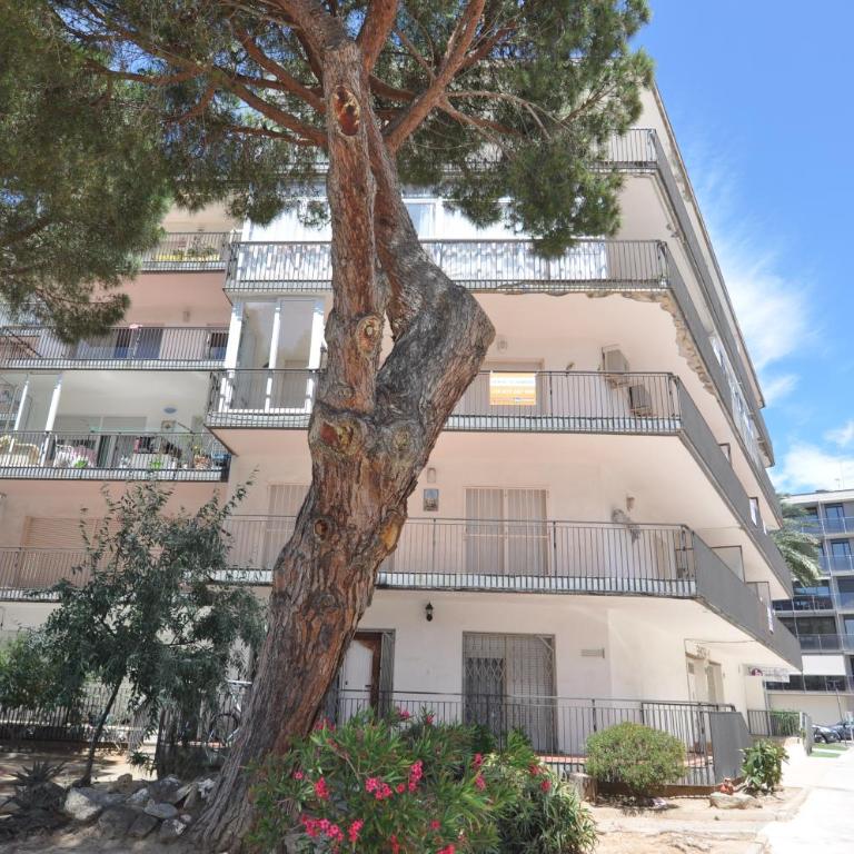 RNET - IB SANDRA I 3C - Roses Costa Brava - Apartment with Terrace - 32