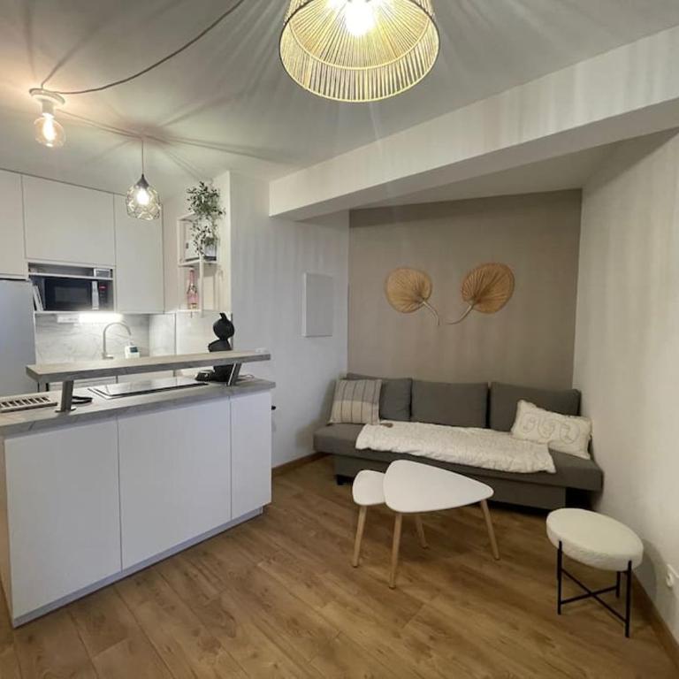 Bel appartement vue mer accès direct plage, wifi fibre gratuit - Appartement 2 Chambres - 10