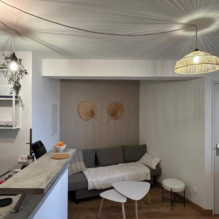 Bel appartement vue mer accès direct plage, wifi fibre gratuit - Appartement 2 Chambres - 18