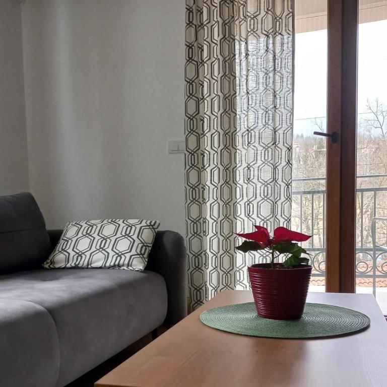 Tilia Home - Apartman sa 1 Spavaćom Sobom - 3