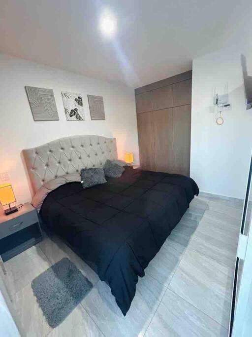 Loft Marina Cerritos - One-Bedroom Apartment - 17
