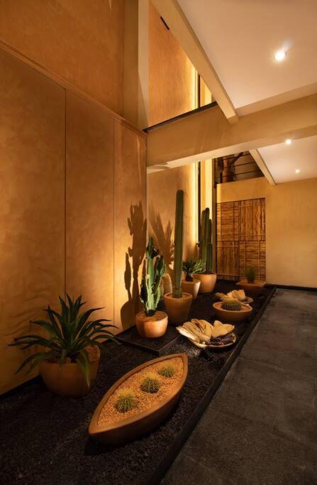 Casa Rufina Oaxaca Centro - Adults Only - Villa - 6