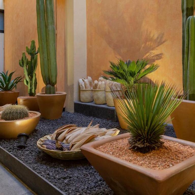 Casa Rufina Oaxaca Centro - Adults Only - Villa - 16
