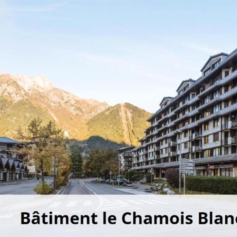 L'Aiguille - maeva Home - 2 Pièces 5 Personnes Confort MAE-1176 - Appartement - 12