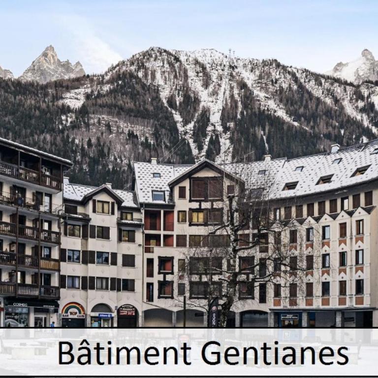 L'Aiguille - maeva Home - 2 Pièces 4 Personnes Prestige MAE-0414 - Appartement - 30