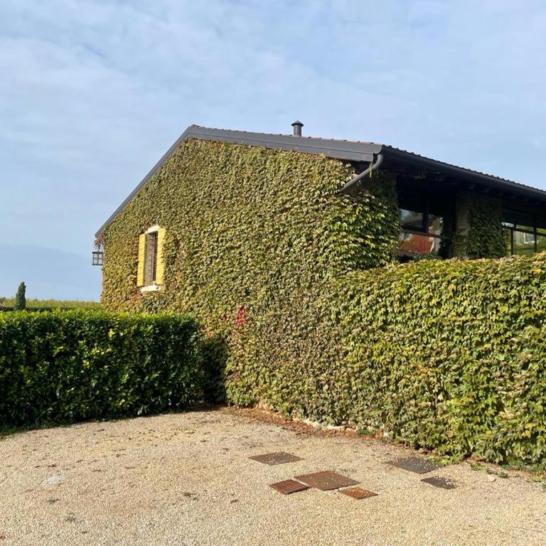 Ca' del Buso - Superior Apartment - 42