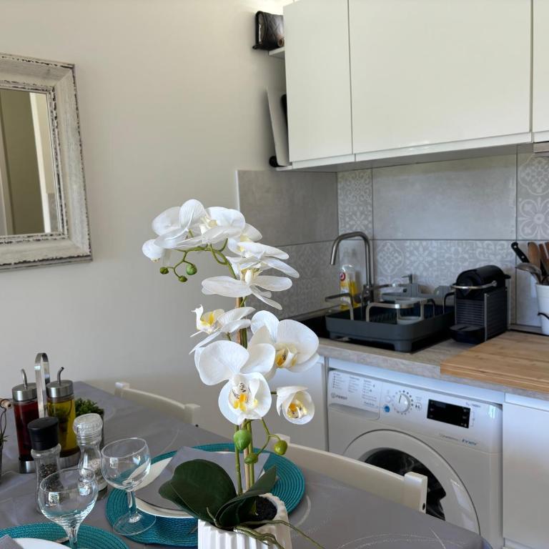 Proche Centre SANARY Studio climatisé 4 personnes - Studio with Terrace - 6