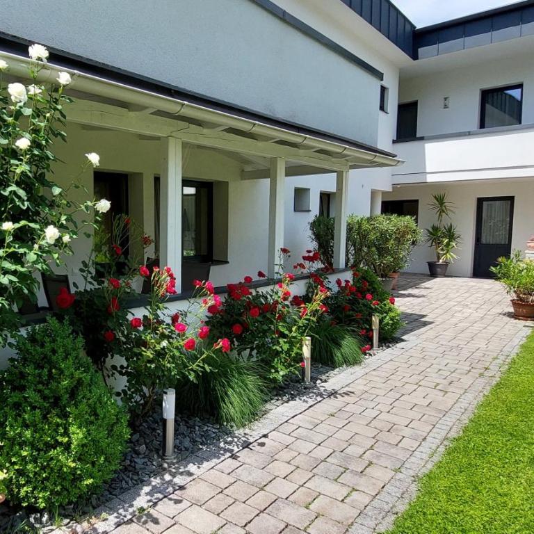 Appartements Romanin - Apartment mit Terrasse - 2